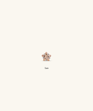 Titanium Zodiac Stars Stud