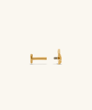 Titanium Lantern Fish Flatback Stud