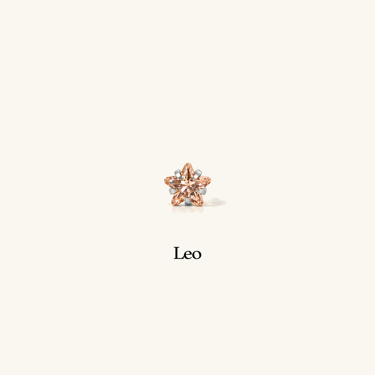 Titanium Zodiac Stars Stud