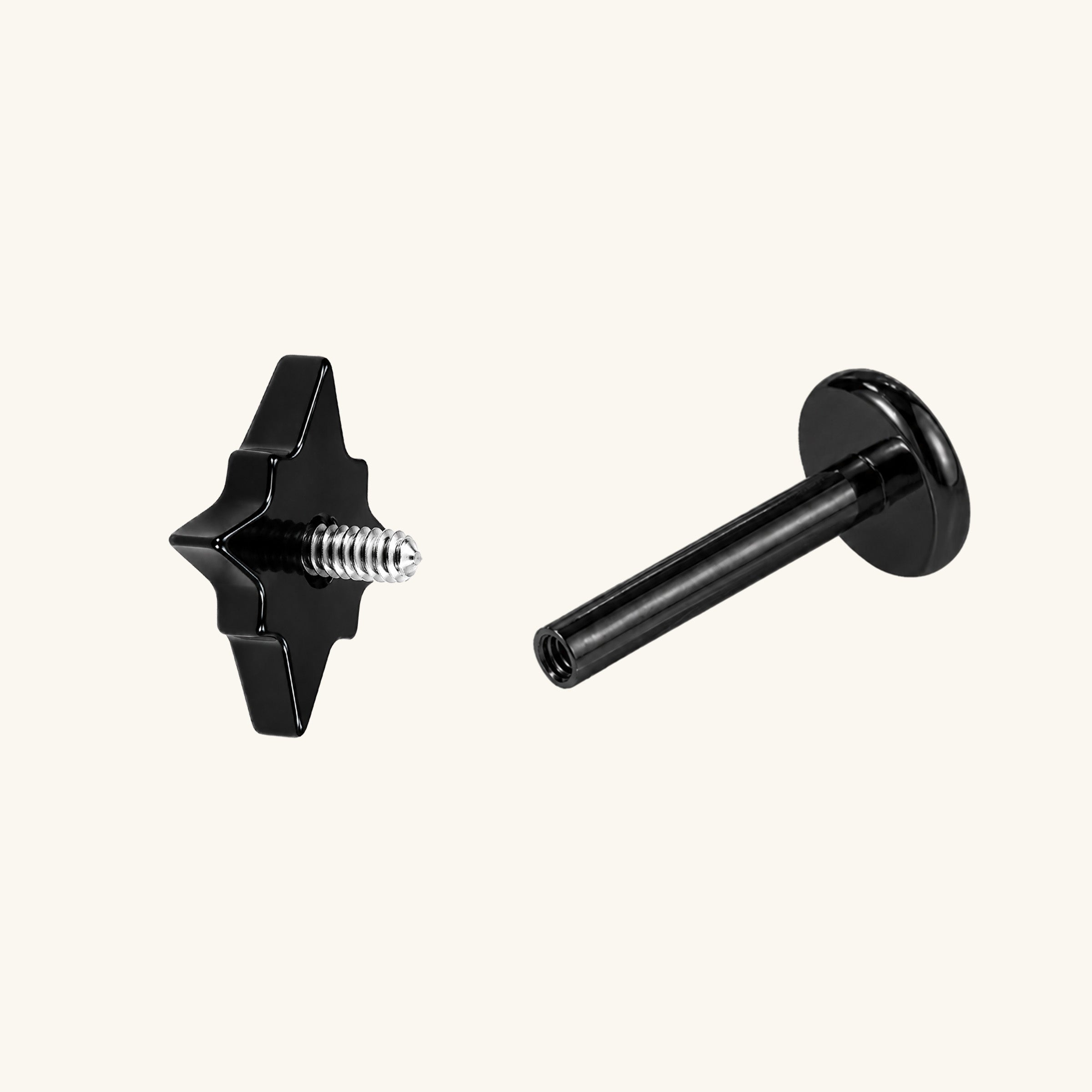 Titanium Raisa Star Stud