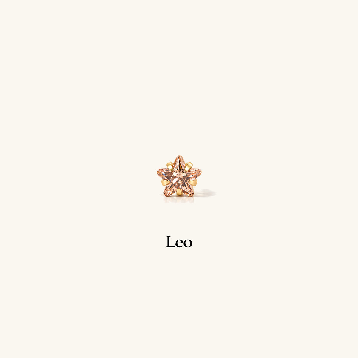 Titanium Zodiac Stars Stud