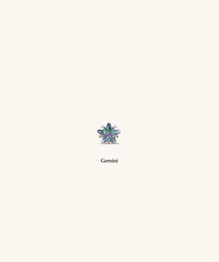 Titanium Zodiac Stars Stud