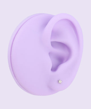 Titanium Star Flatback Stud - OumoJewelry