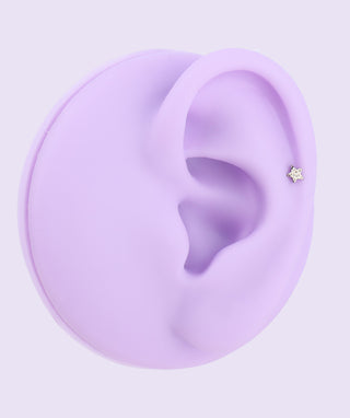 Titanium Star Flatback Stud - OumoJewelry