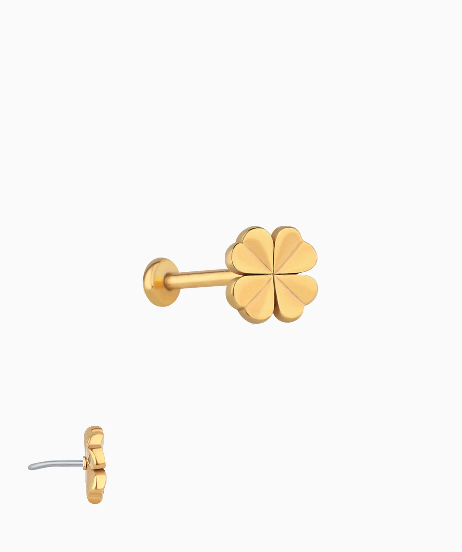 Lucky Clover Stud