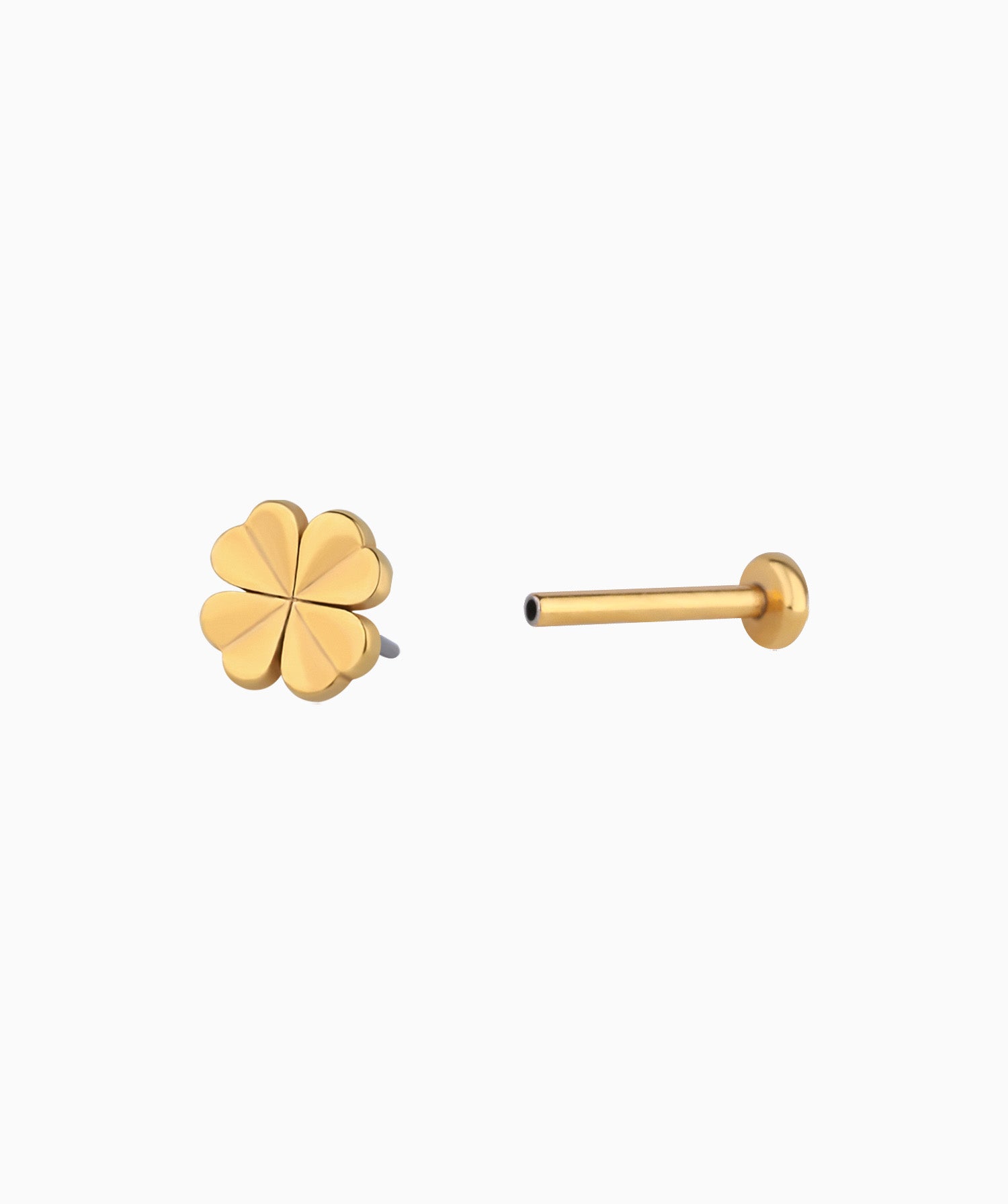 Lucky Clover Stud