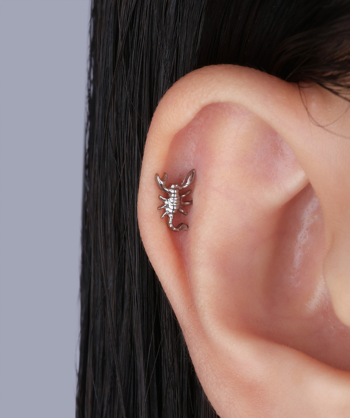 Titanium Scorpion Flatback Stud - Titanium - Upper Lobe, Conch, Flat - Oumo Jewelry