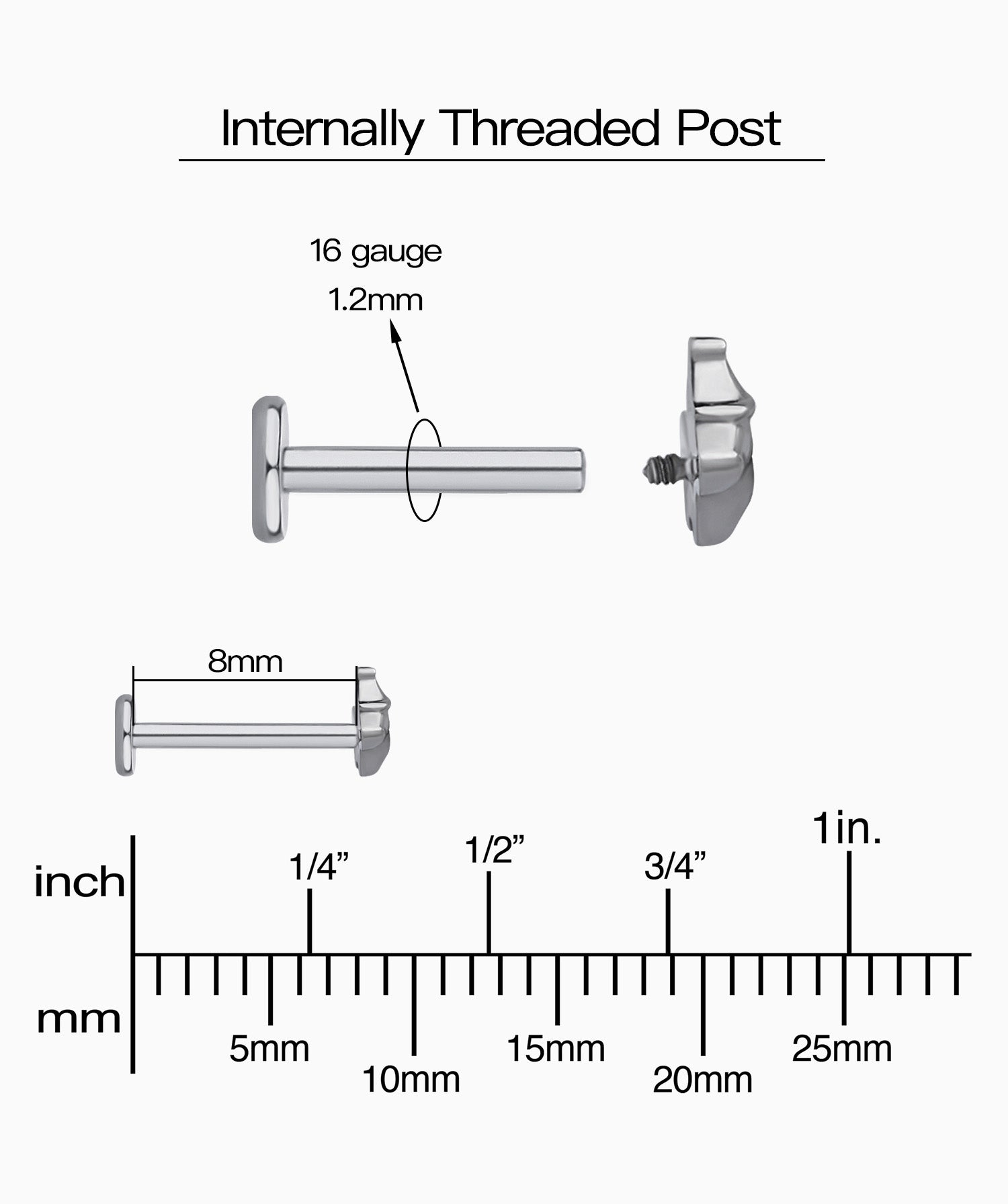 Titanium Guinea Pig Flatback Stud