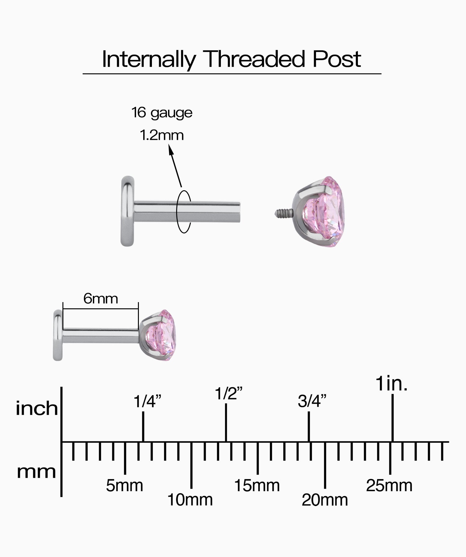 Titanium Charm Gemstones Stud