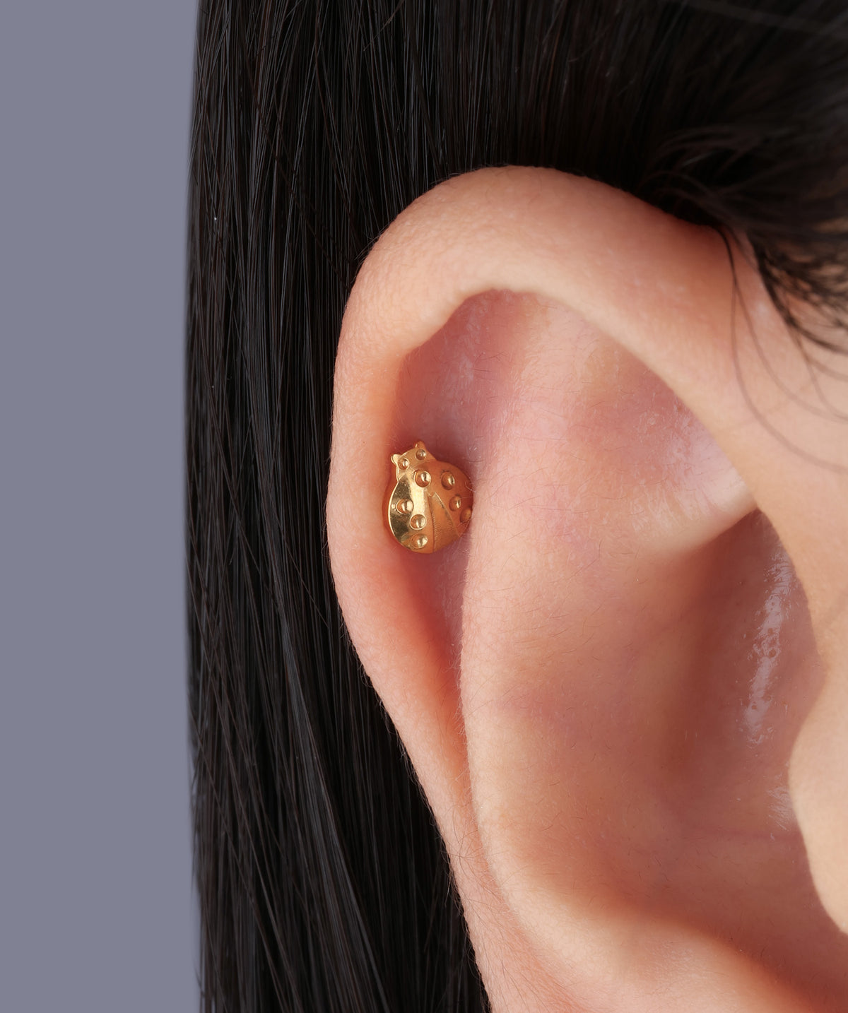 Titanium Ladybug Flatback Stud - Titanium - Helix, Upper Lobe, Conch - Oumo Jewelry