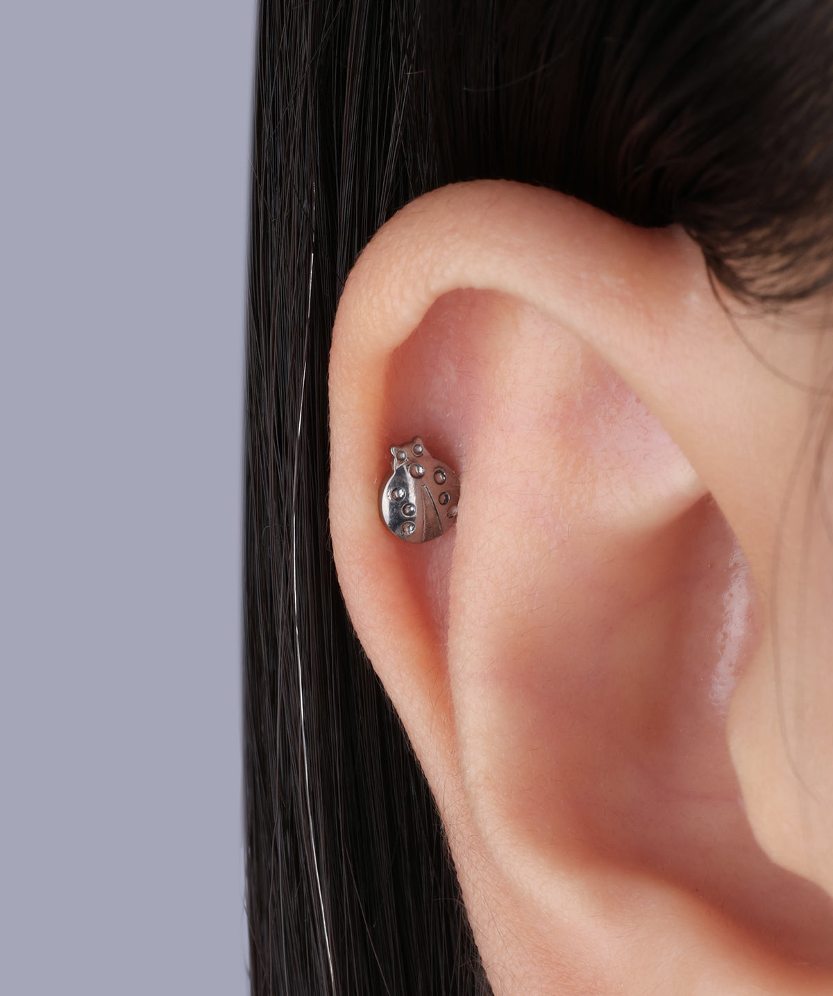 Titanium Ladybug Flatback Stud - Titanium - Helix, Upper Lobe, Conch - Oumo Jewelry