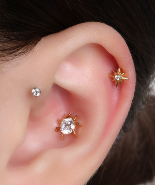 Titanium Ladybug Stud - OumoJewelry
