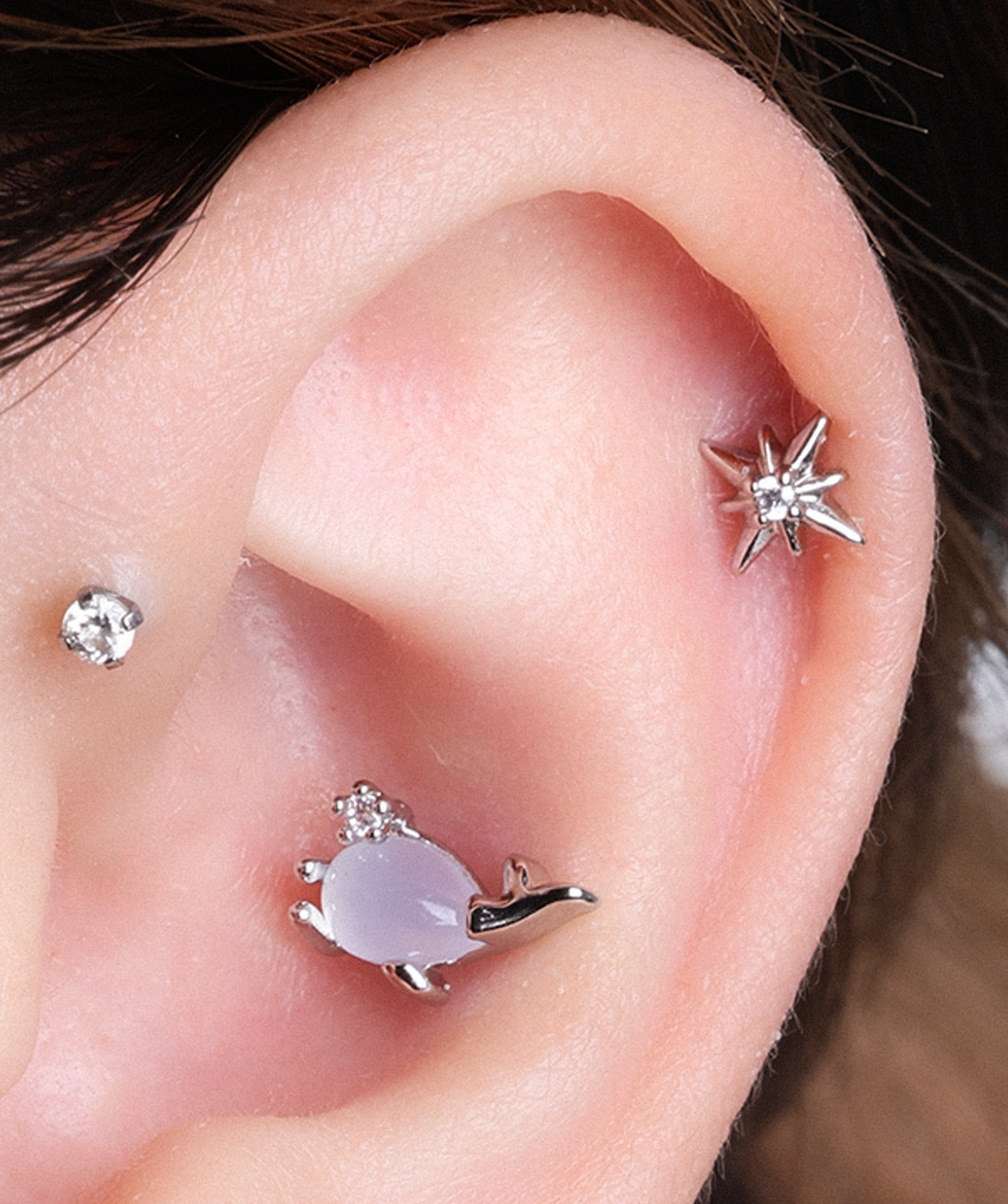 Whale Stud - Stainless Steel - Upper Lobe, Helix, Conch - Oumo Jewelry