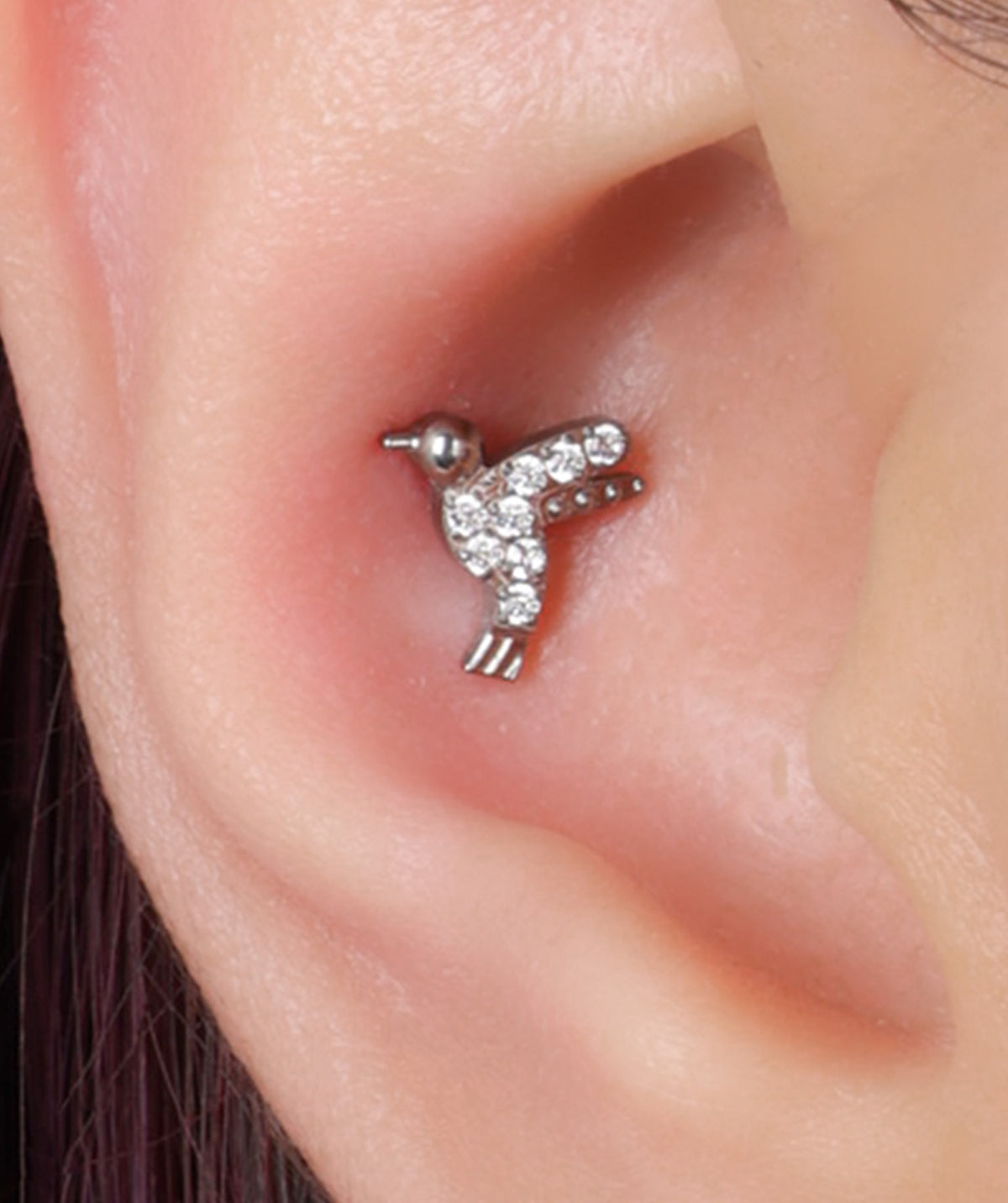 Titanium Bird Stud - Titanium - Helix, Upper Lobe, Conch - Oumo Jewelry