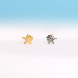 Titanium Starfish Stud - OhmoJewelry