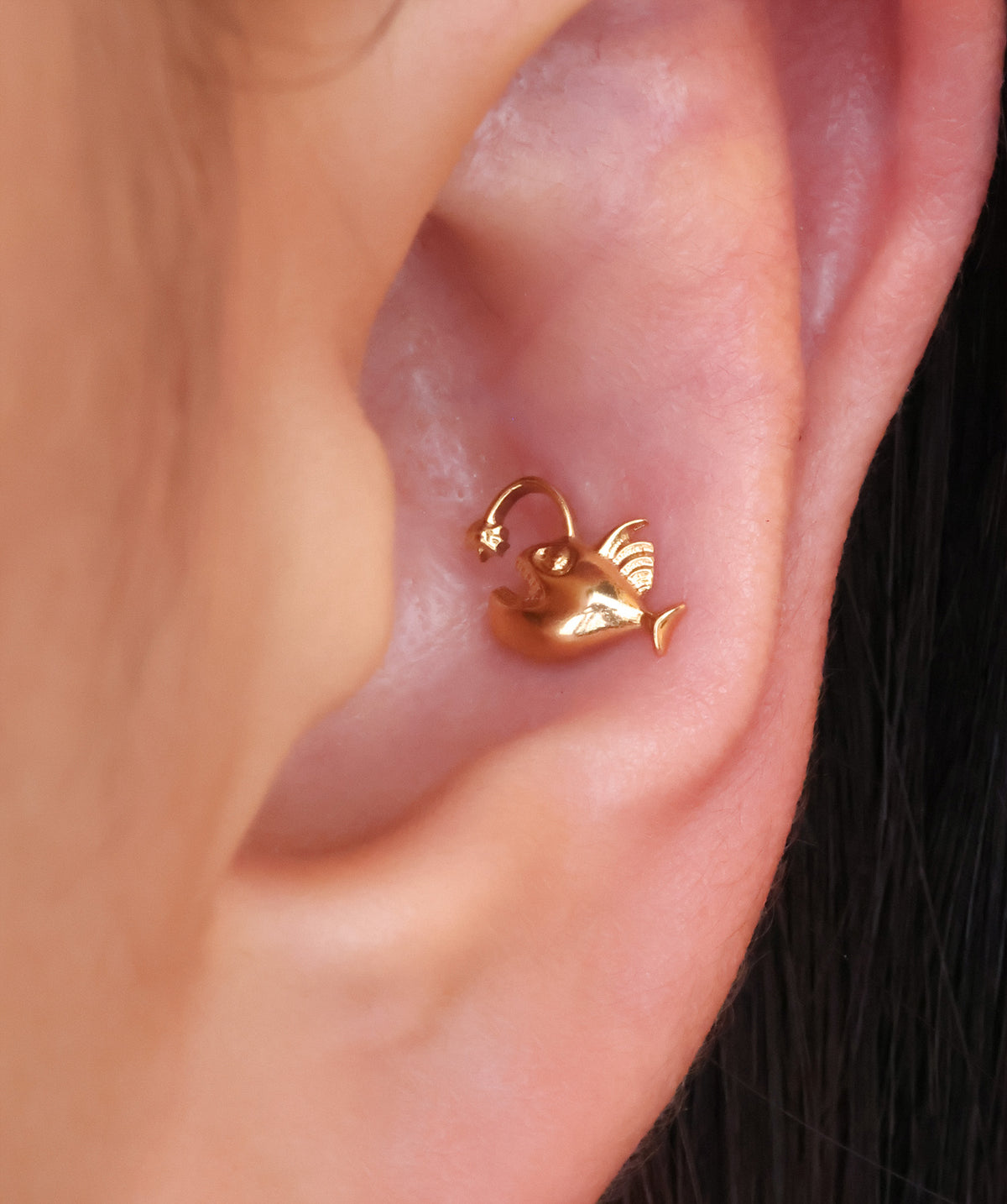 Titanium Lantern Fish Flatback Stud - Titanium - Helix, Upper Lobe, Conch - Oumo Jewelry