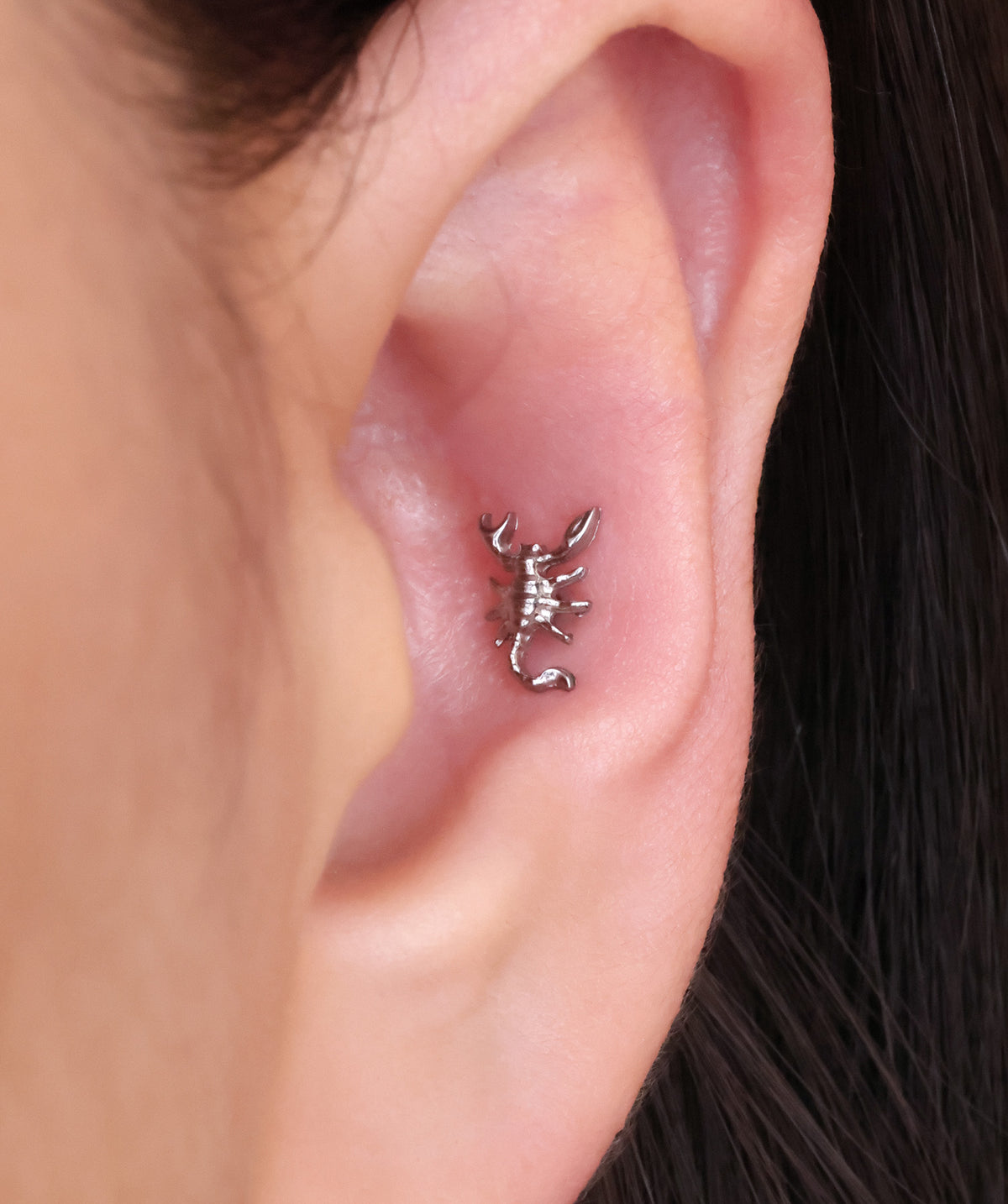 Titanium Scorpion Flatback Stud - Titanium - Upper Lobe, Conch, Flat - Oumo Jewelry