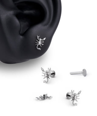 Titanium Scorpion Flatback Stud - OumoJewelry