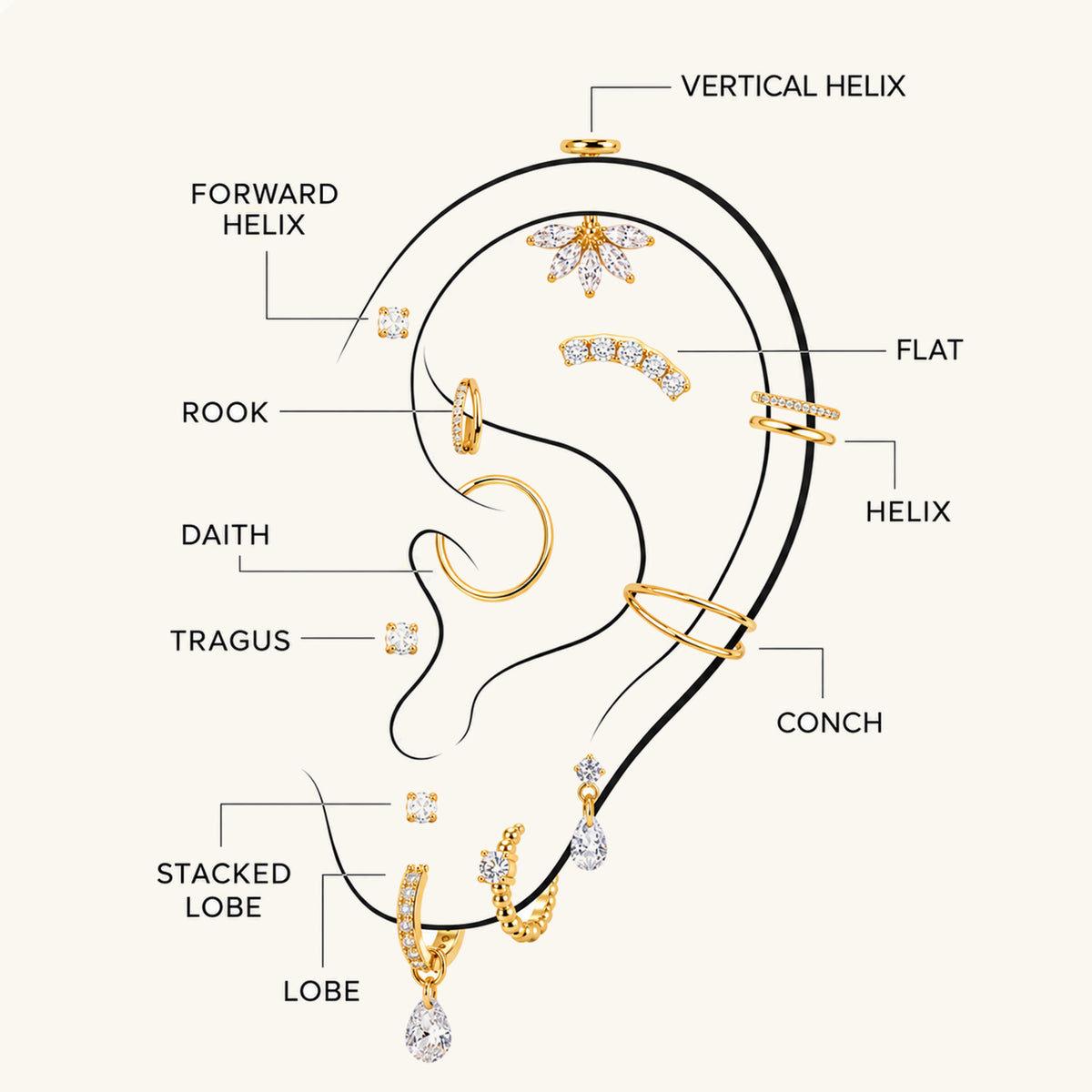 Illustrated ear showing common piercing placements