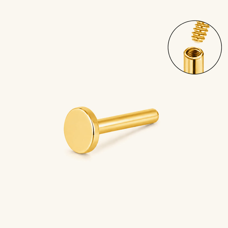 Internal Threaded Flat Back Post (Titanium)