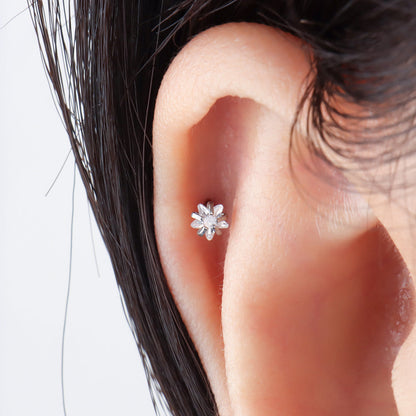 Shiny Star Stud - OhmoJewelry